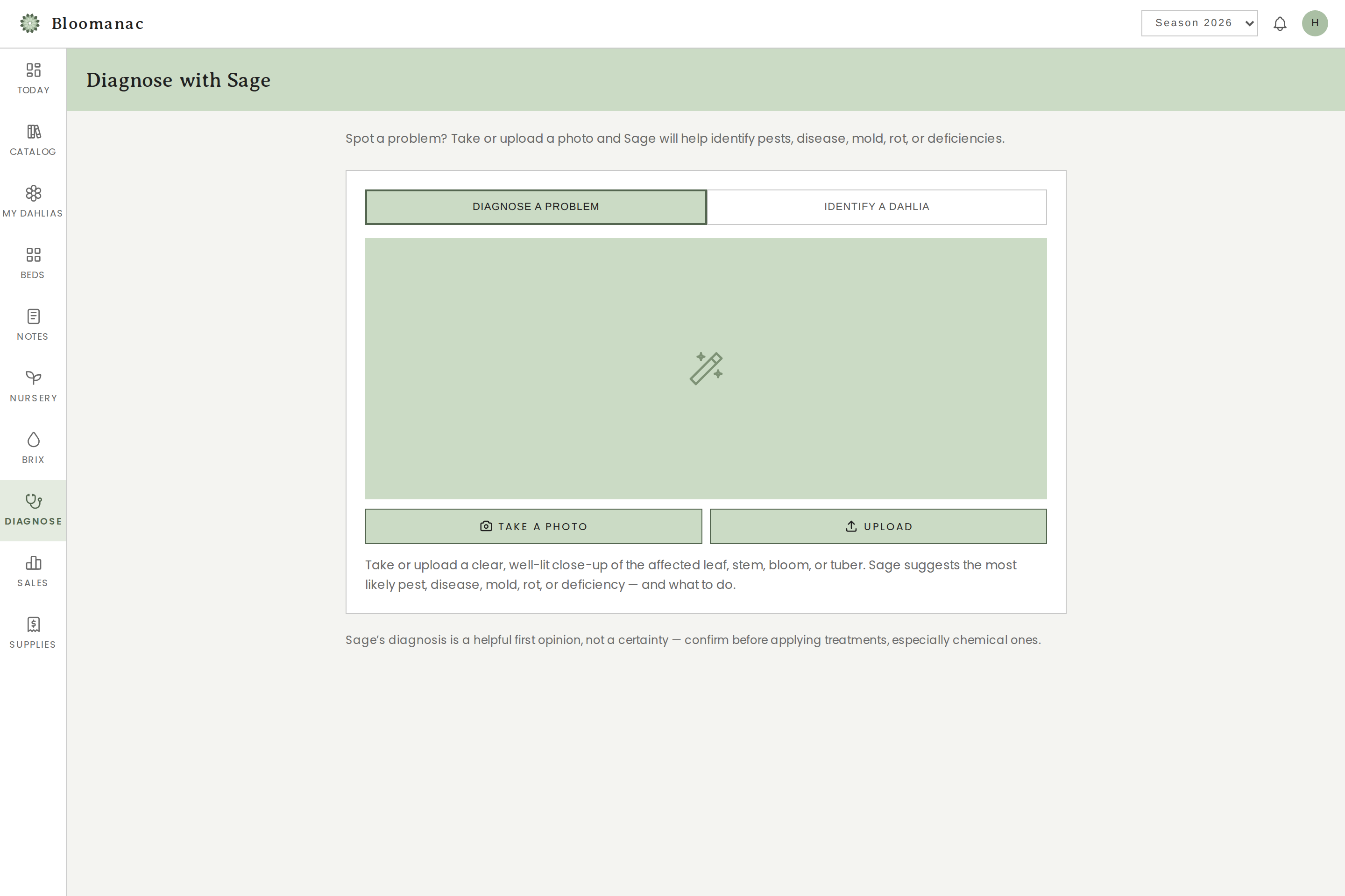 Diagnose with Sage — take or upload a photo of a plant problem