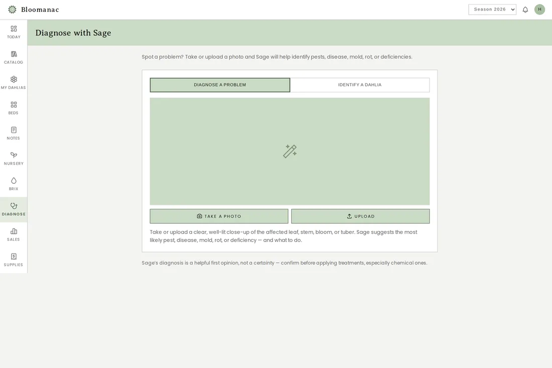 Diagnose with Sage — take or upload a photo of a plant problem